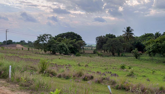 Perfina Expands Presence in African Market with a 108-Acre Modern Daily Ceramics Factory