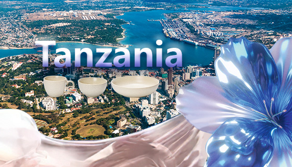 Perfina Ceramic Tableware Showroom to Launch in Dar es Salaam, Tanzania